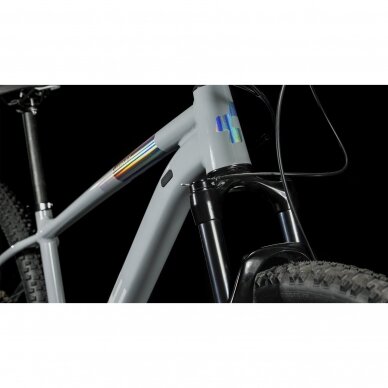 Dviratis Cube Access WS SLX 29 grey'n'silver (NX Eagle) 3