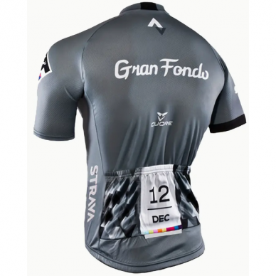 Cycling jersey 1