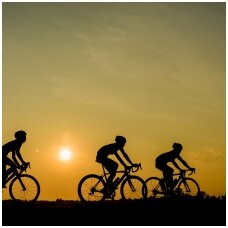 Bicycle trips. How to prepare for them.